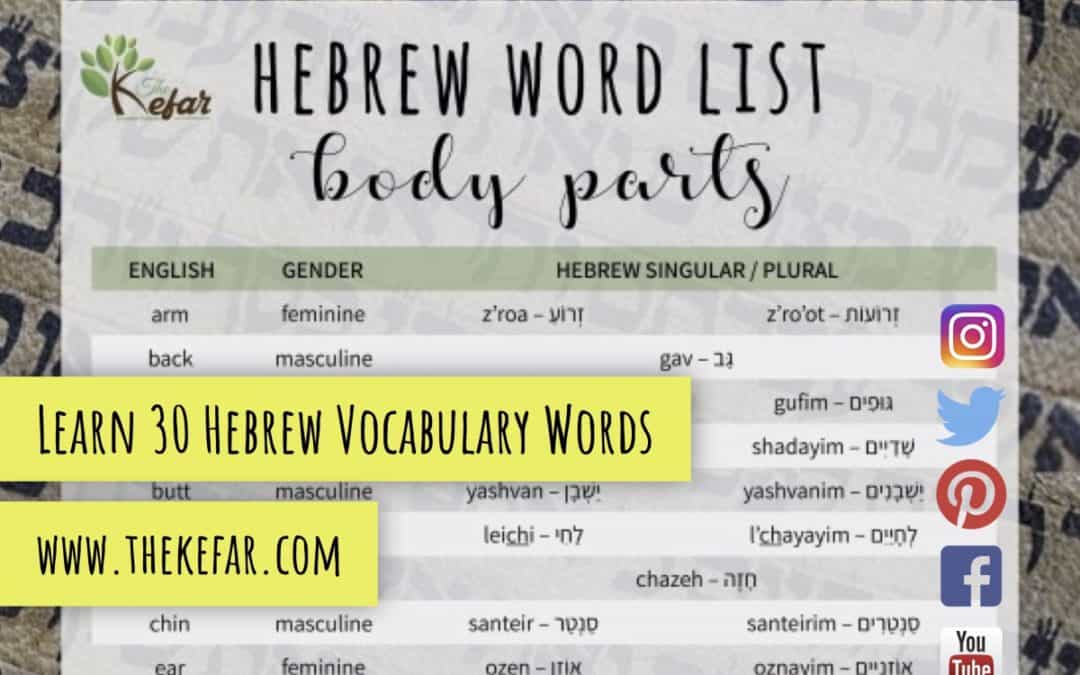 Hebrew Word List: Body Parts in Hebrew