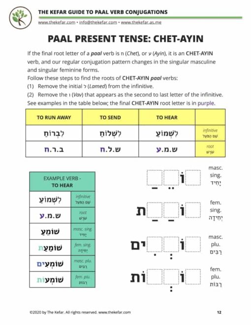 Guide to Paal Verb Conjugations - Image 3
