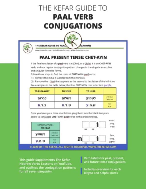 Guide to Paal Verb Conjugations - Image 2