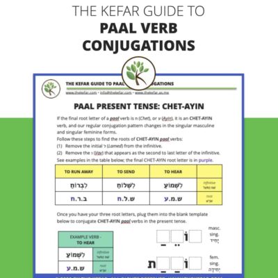 Guide to Paal Verb Conjugations