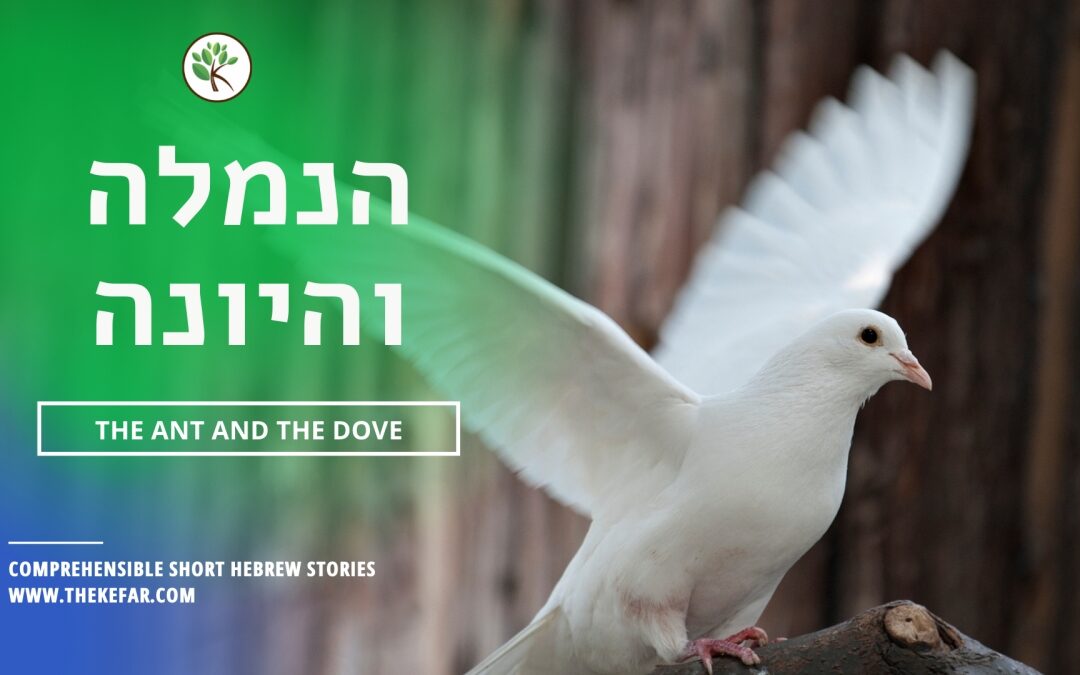 Protected: Hebrew Story: The Ant and The Dove